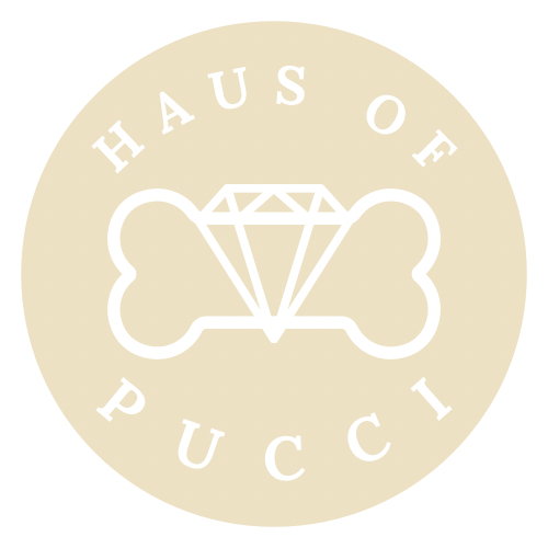Haus of Pucci 